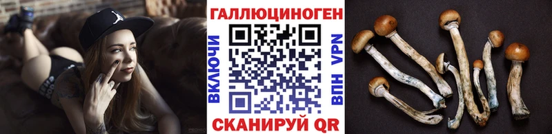 даркнет сайт  hydra вход  Псилоцибиновые грибы Cubensis  Кубинка 